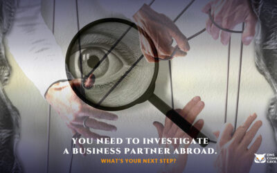 Do you need to investigate a business partner abroad?